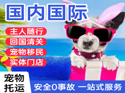 三女河航空空运国际宠物托运 【国